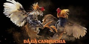 da-ga-campuchia-dai-dien